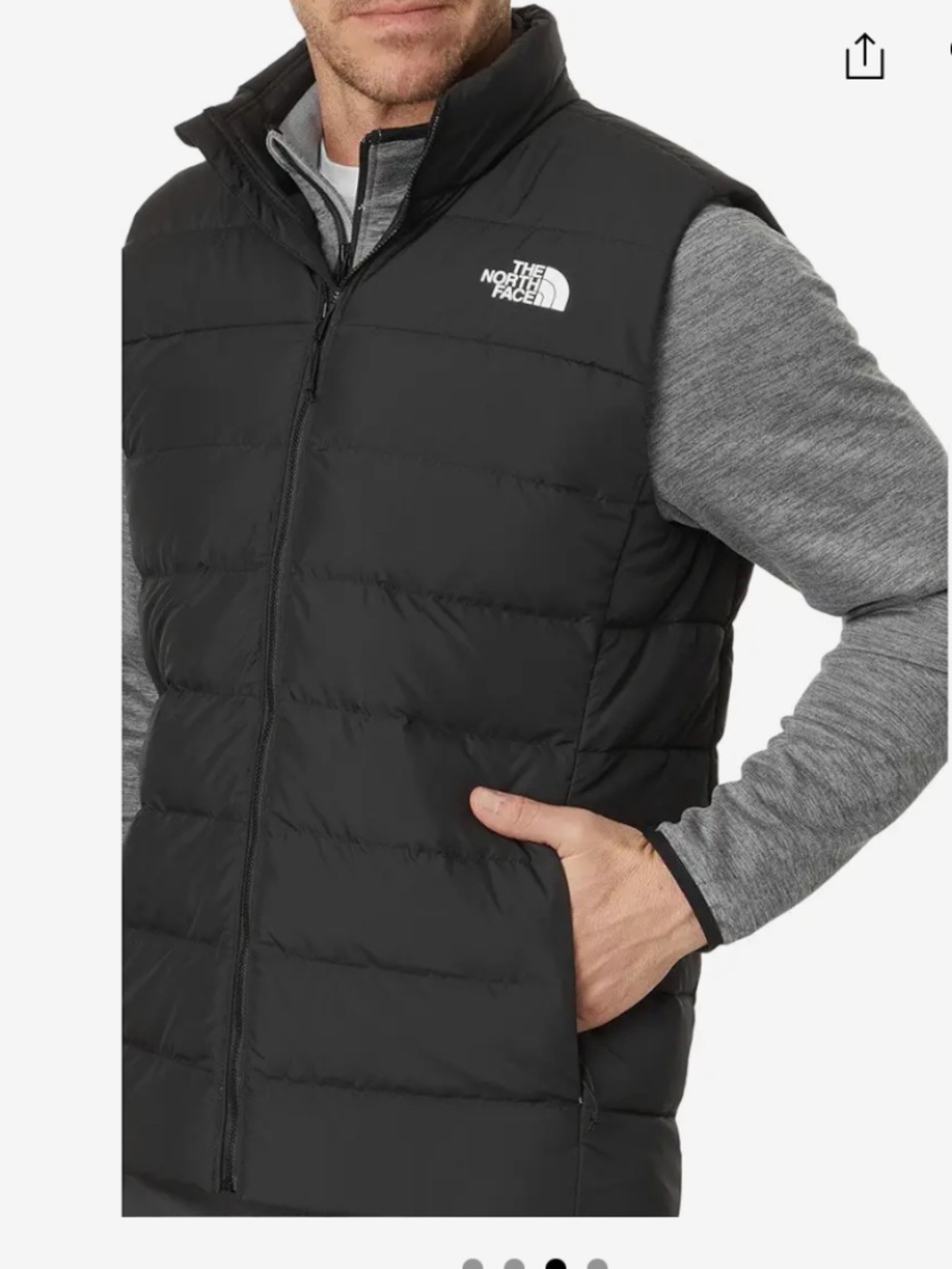 The North Face Vest- Men’s